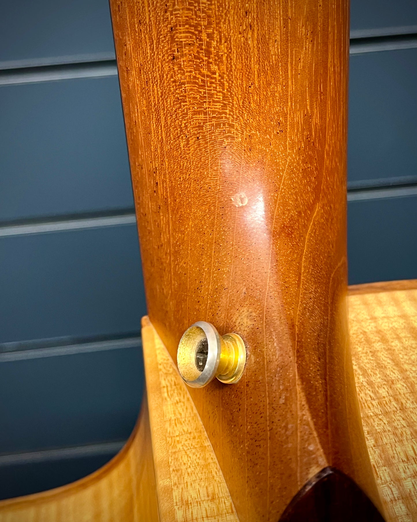 Taylor Nylon String (#20020430714)