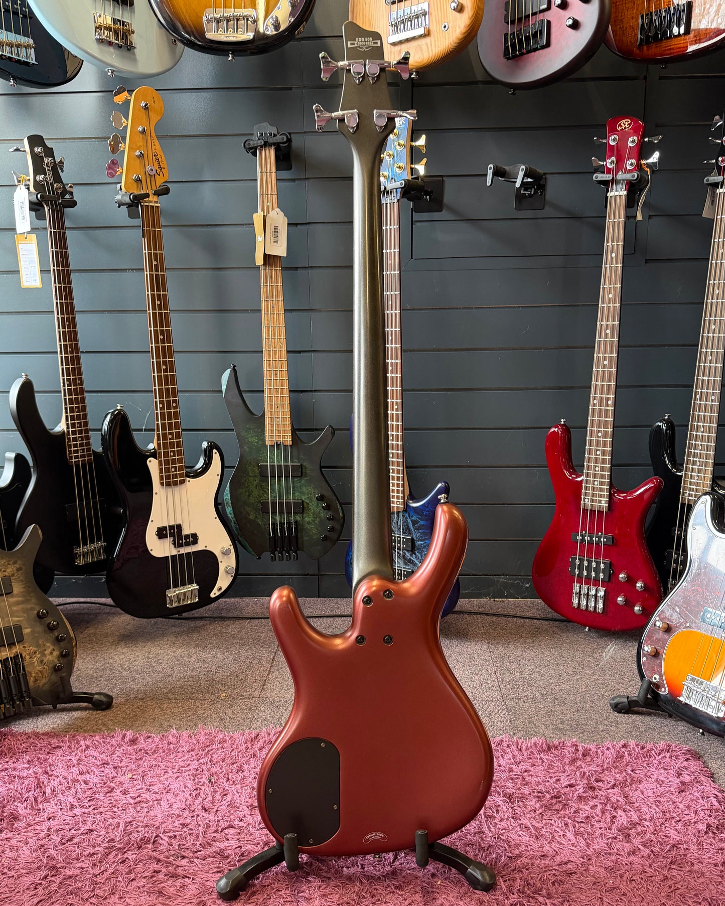 Ibanez Ergodyne EDA500