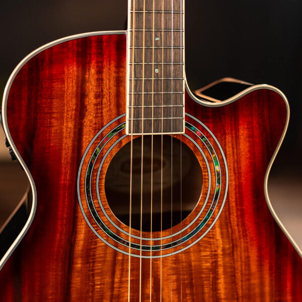 Washburn EA55G Festival Mini Jumbo Cutaway - Koa Burst