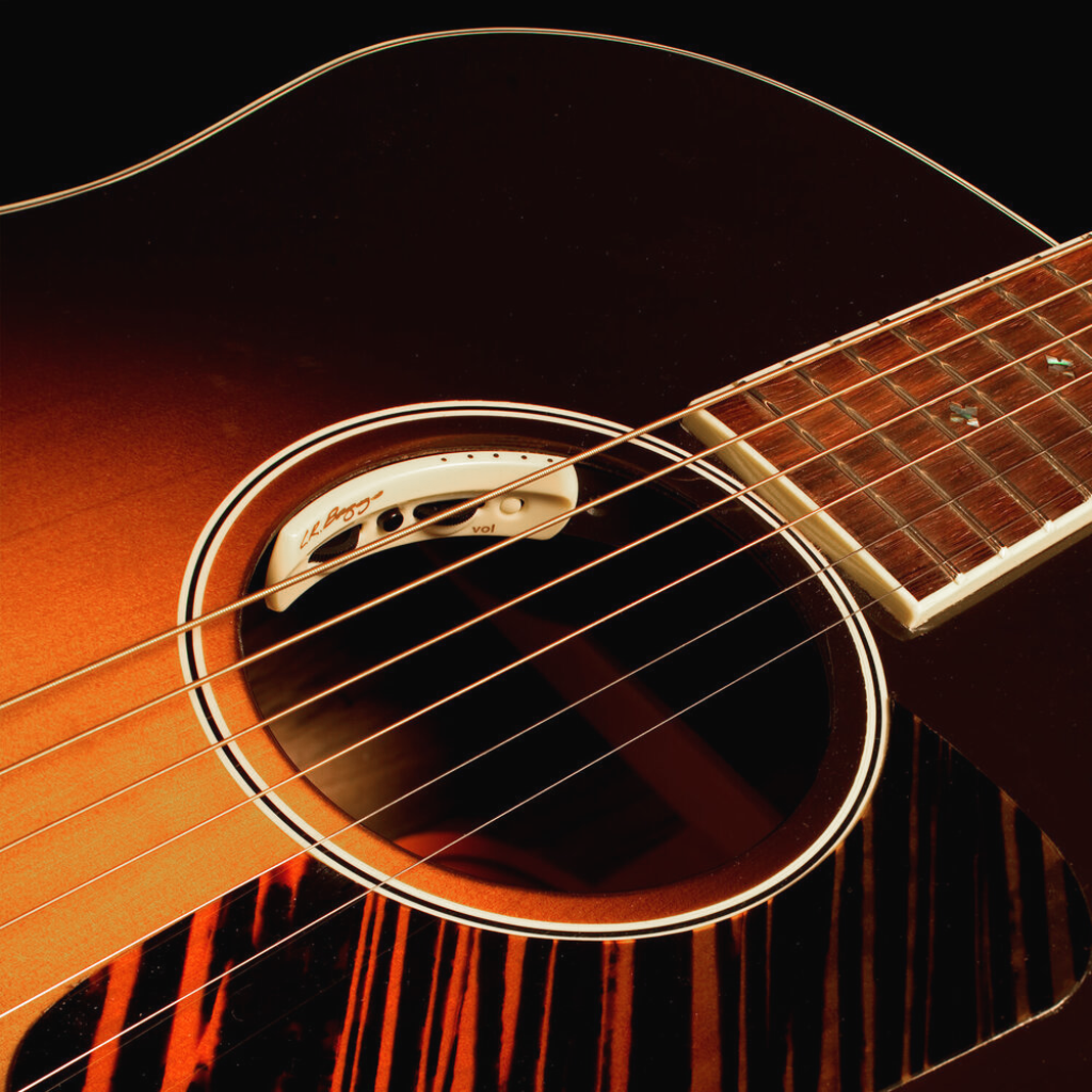 LR Baggs Anthem Element/Mic Pickup System