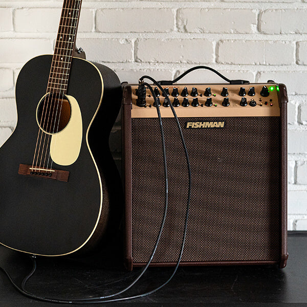 Fishman Loudbox Performer