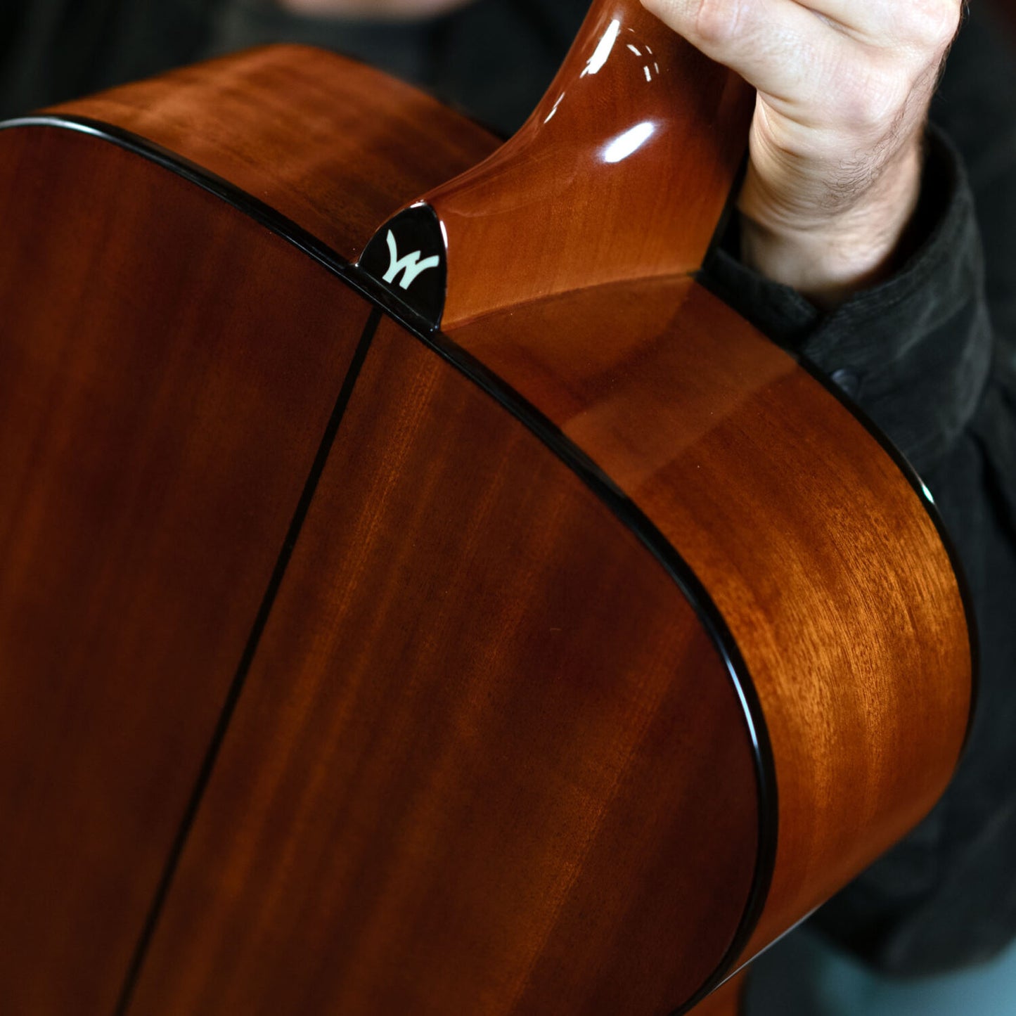 Washburn F5 Folk - Natural