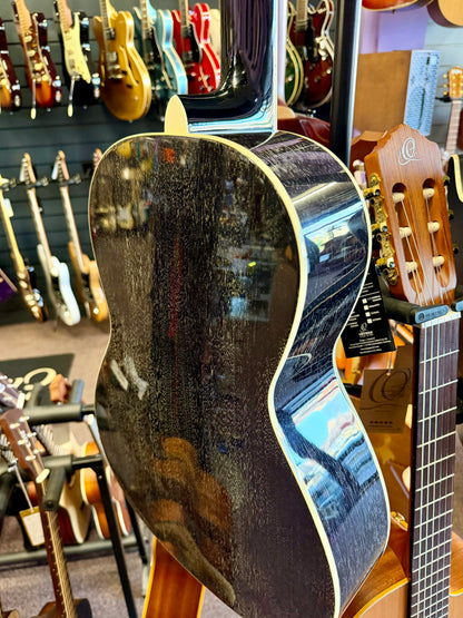 PRS SE Tonare P20E - Gloss Black Top/Doghair Back & Sides