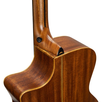 Bromo Tahoma Auditorium Cutaway Electro