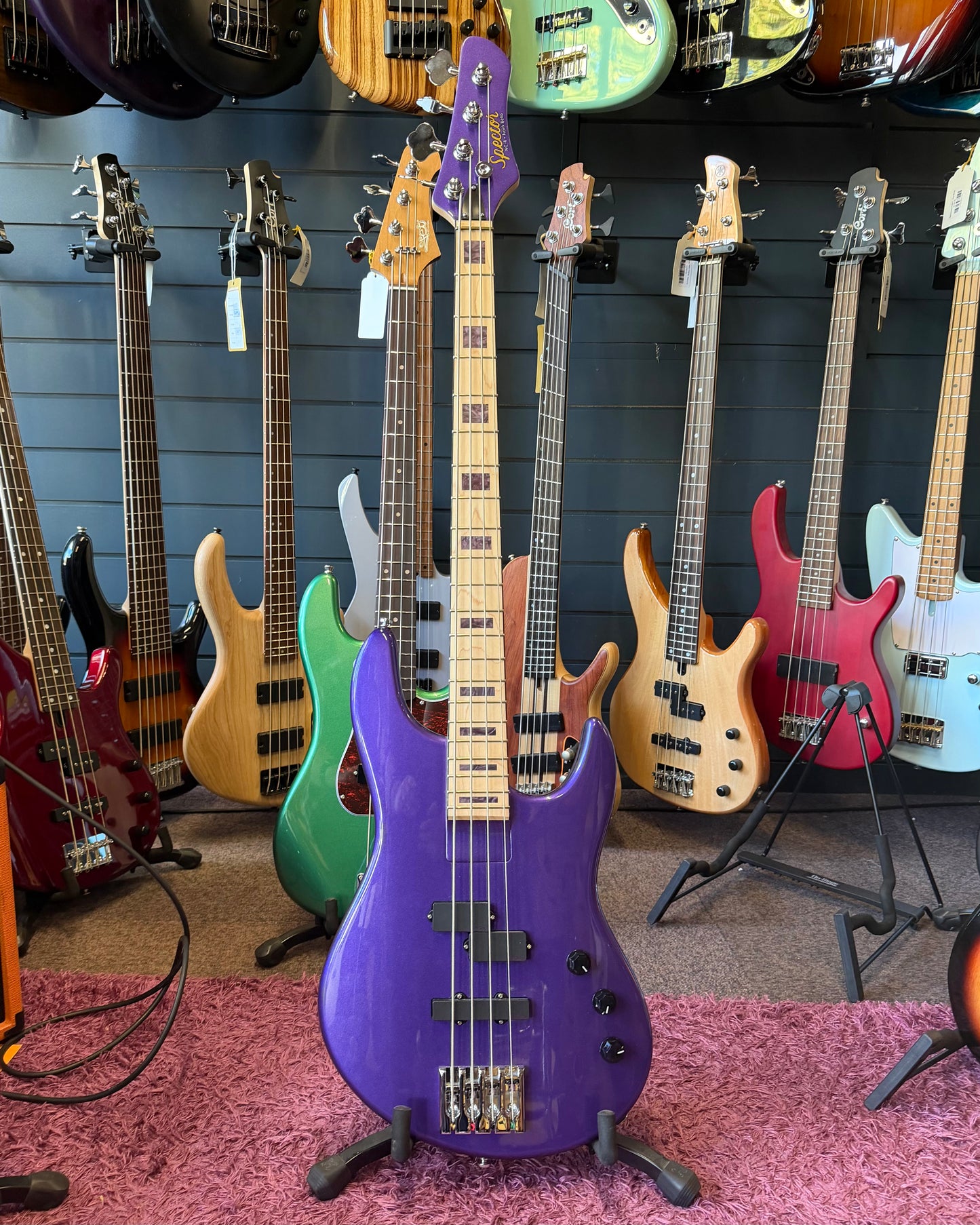 Spector NC-4 Frank Bello - Tina Rose