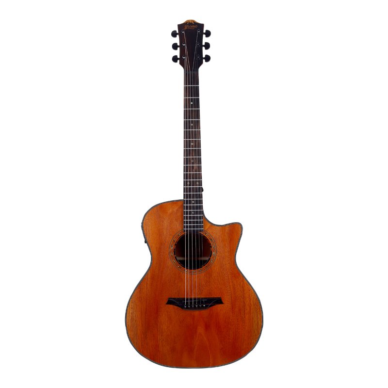 Bromo Tahoma Auditorium Electro Acoustic Guitar
