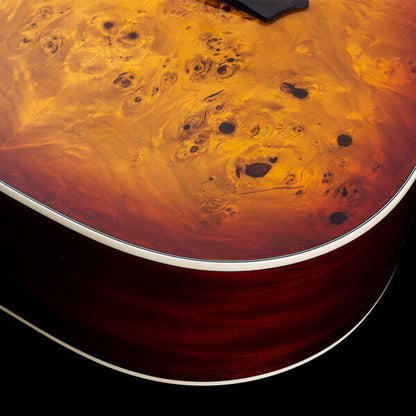 Washburn Burl D Deep Forest Dreadnought - Amber Fade