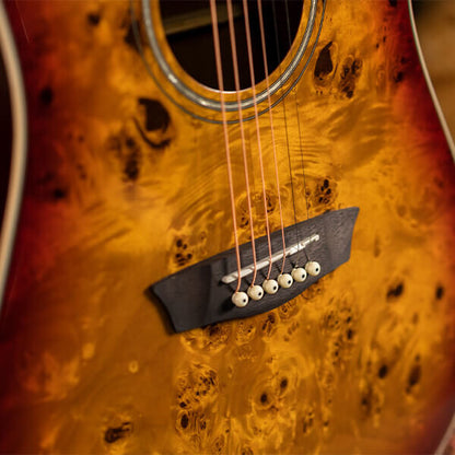 Washburn Burl D Deep Forest Dreadnought - Amber Fade