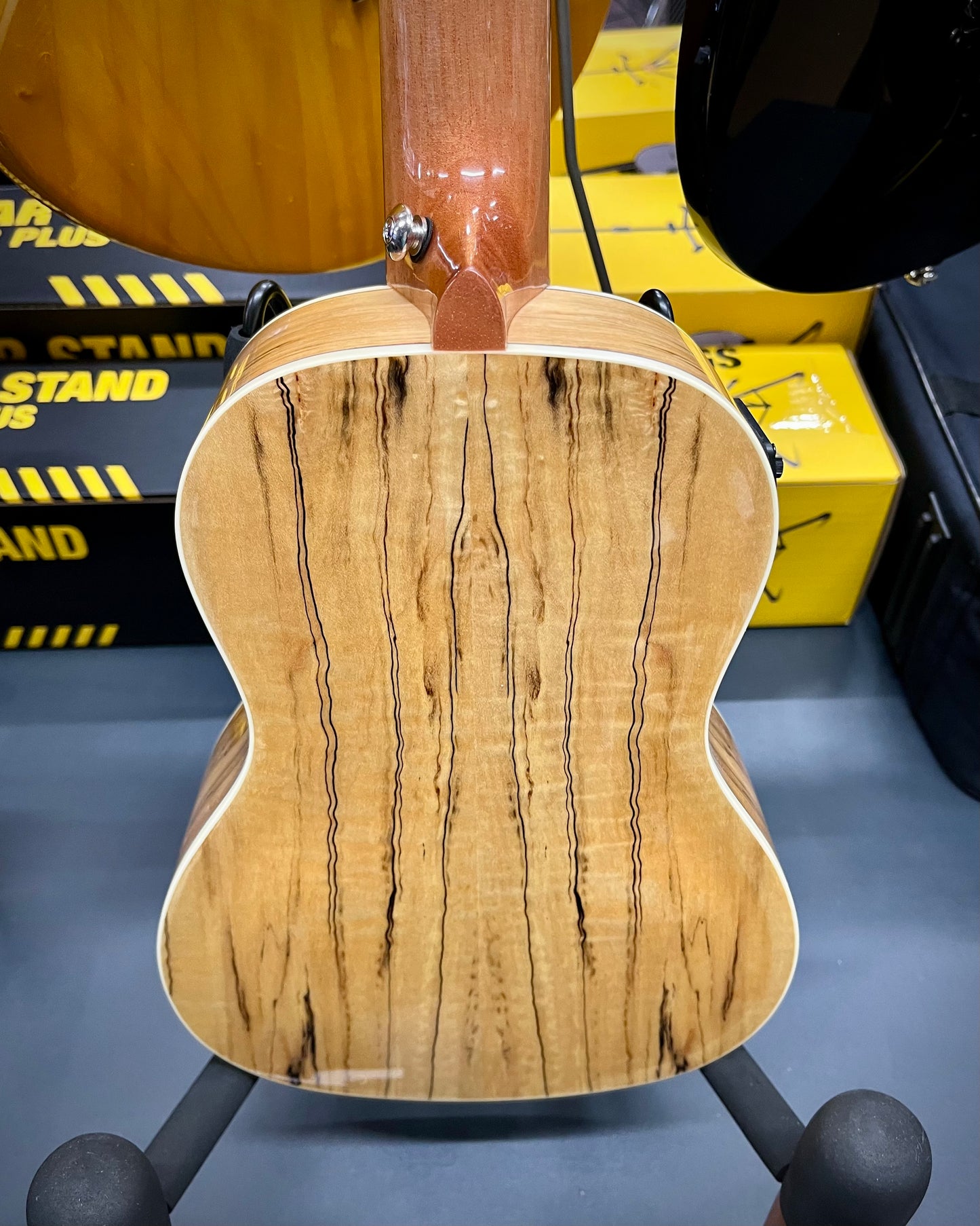 Blackwater Spalted Maple EQ Ukulele - Concert