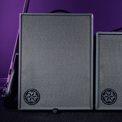 Infinity 500 Combo 210 by Darkglass
