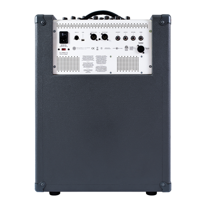 Infinity 500 Combo 210 by Darkglass