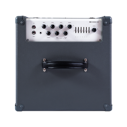 Infinity 500 Combo 210 by Darkglass