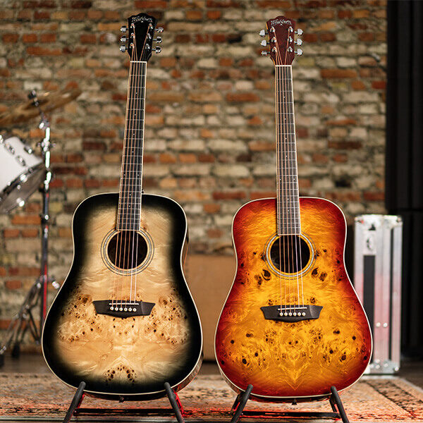 Washburn Burl D Deep Forest Dreadnought - Amber Fade