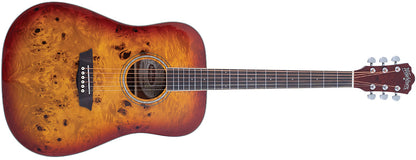 Washburn Burl D Deep Forest Dreadnought - Amber Fade