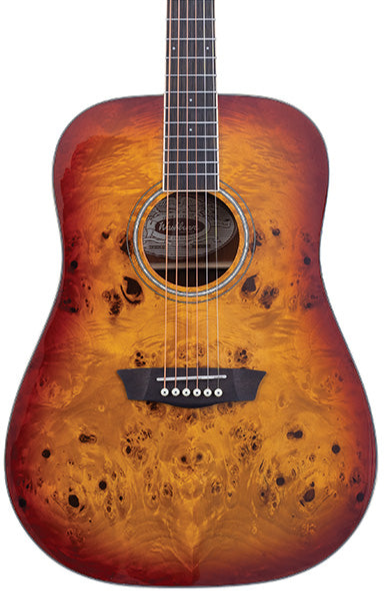 Washburn Burl D Deep Forest Dreadnought - Amber Fade