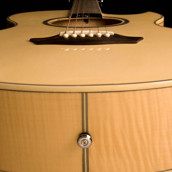Washburn EA20 Festival Cutaway - Natural