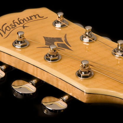 Washburn EA20 Festival Cutaway - Natural