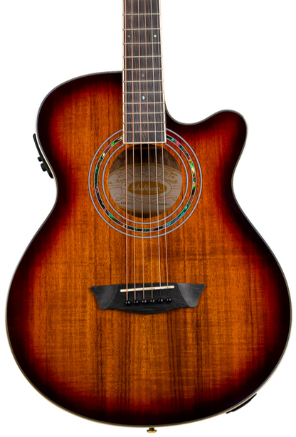 Washburn EA55G Festival Mini Jumbo Cutaway - Koa Burst