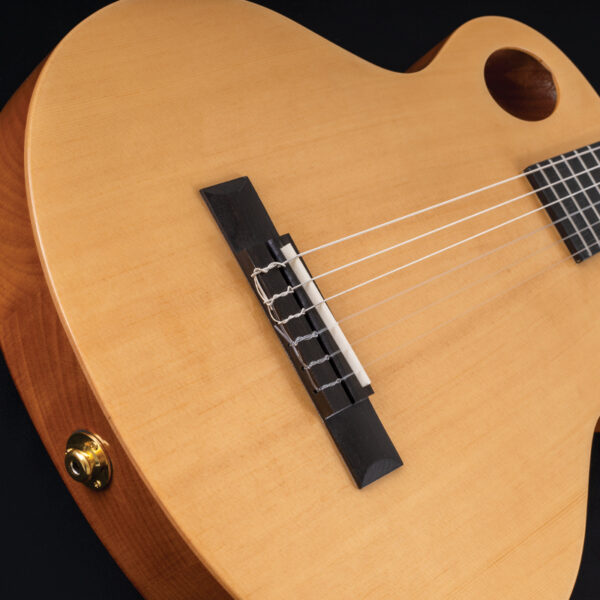 Washburn EACT42S Festival Nylon String Cutaway Classical - Natural