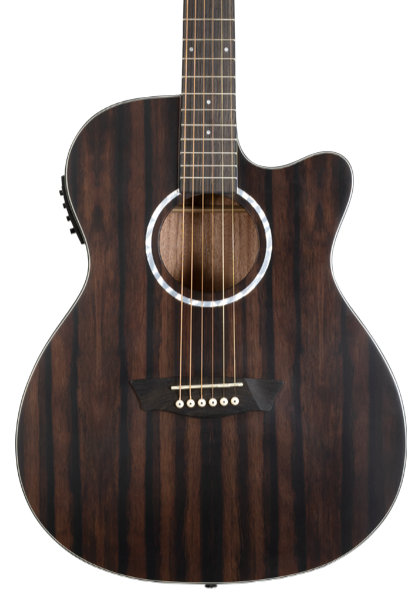 Washburn Ebony ACE Deep Forest Grand Auditorium - Natural Matte