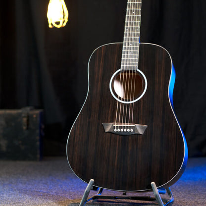 Washburn Ebony D Deep Forest Dreadnought - Natural Matte