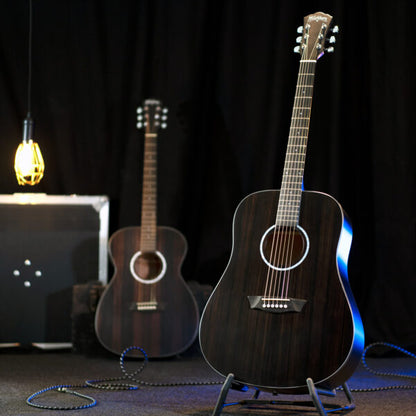 Washburn Ebony D Deep Forest Dreadnought - Natural Matte