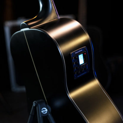 Washburn Ebony FE Deep Forest Folk - Natural Matte