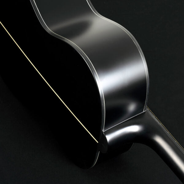 Washburn Ebony FE Deep Forest Folk - Natural Matte