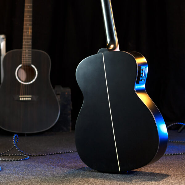 Washburn Ebony FE Deep Forest Folk - Natural Matte