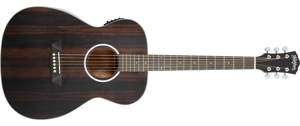 Washburn Ebony FE Deep Forest Folk - Natural Matte