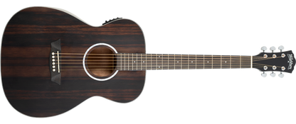 Washburn Ebony FE Deep Forest Folk - Natural Matte