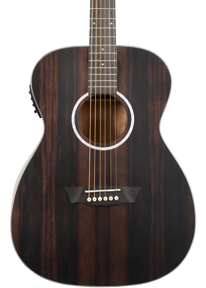 Washburn Ebony FE Deep Forest Folk - Natural Matte