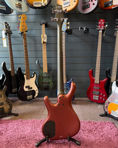 Ibanez Ergodyne EDA500