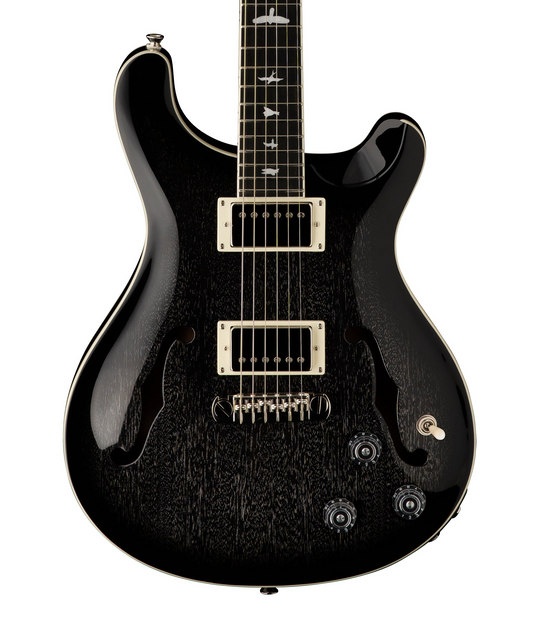 PRS SE Hollowbody Standard Piezo - Dog Hair Smokeburst