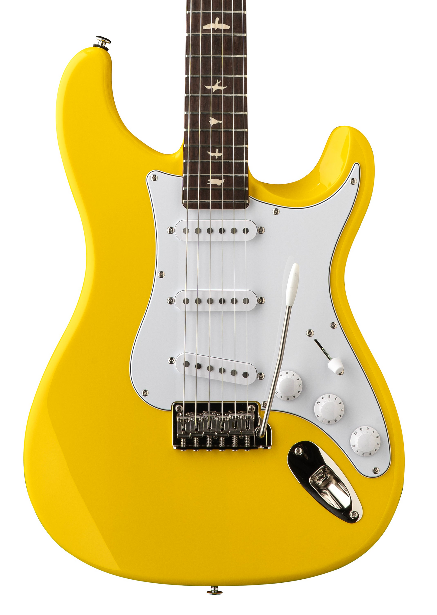 PRS SE Silver Sky Rosewood - Dandy Lion