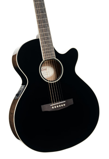 Cort Exotic SFX Ash Burl - Black