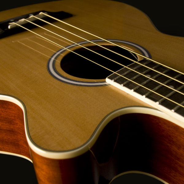 Washburn AB5 Acoustic Bass - Natural