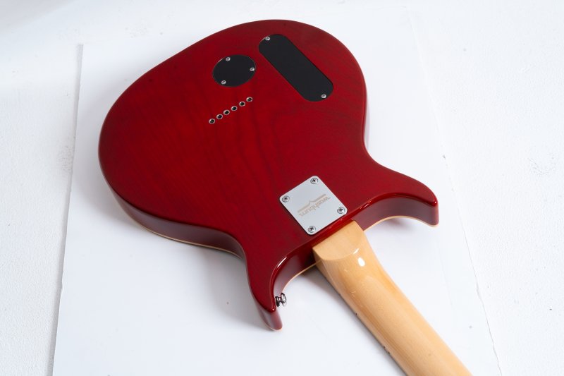 Washburn Raven - Cherry Burst
