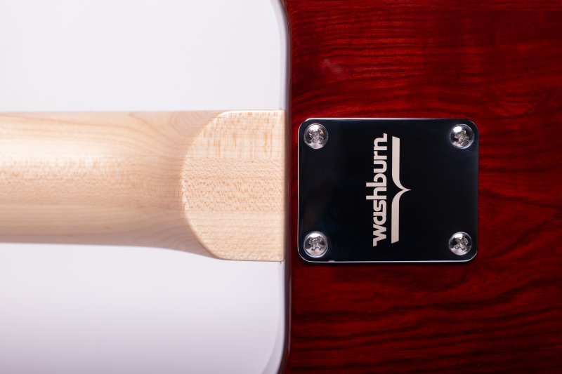 Washburn Raven - Tobacco Sunburst