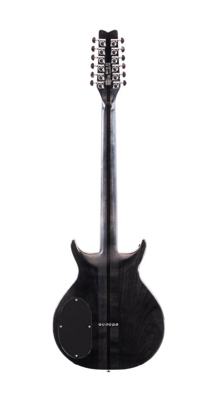 Washburn Hawk 12-string - Trans Black
