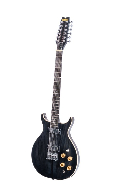 Washburn Hawk 12-string - Trans Black