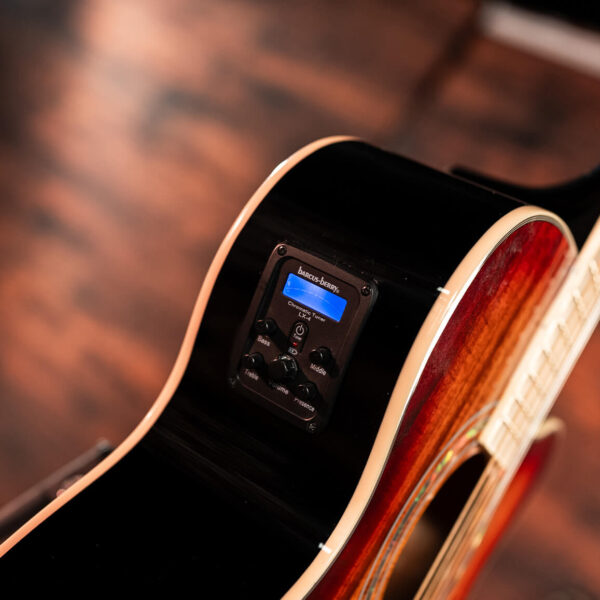 Washburn EA55G Festival Mini Jumbo Cutaway - Koa Burst