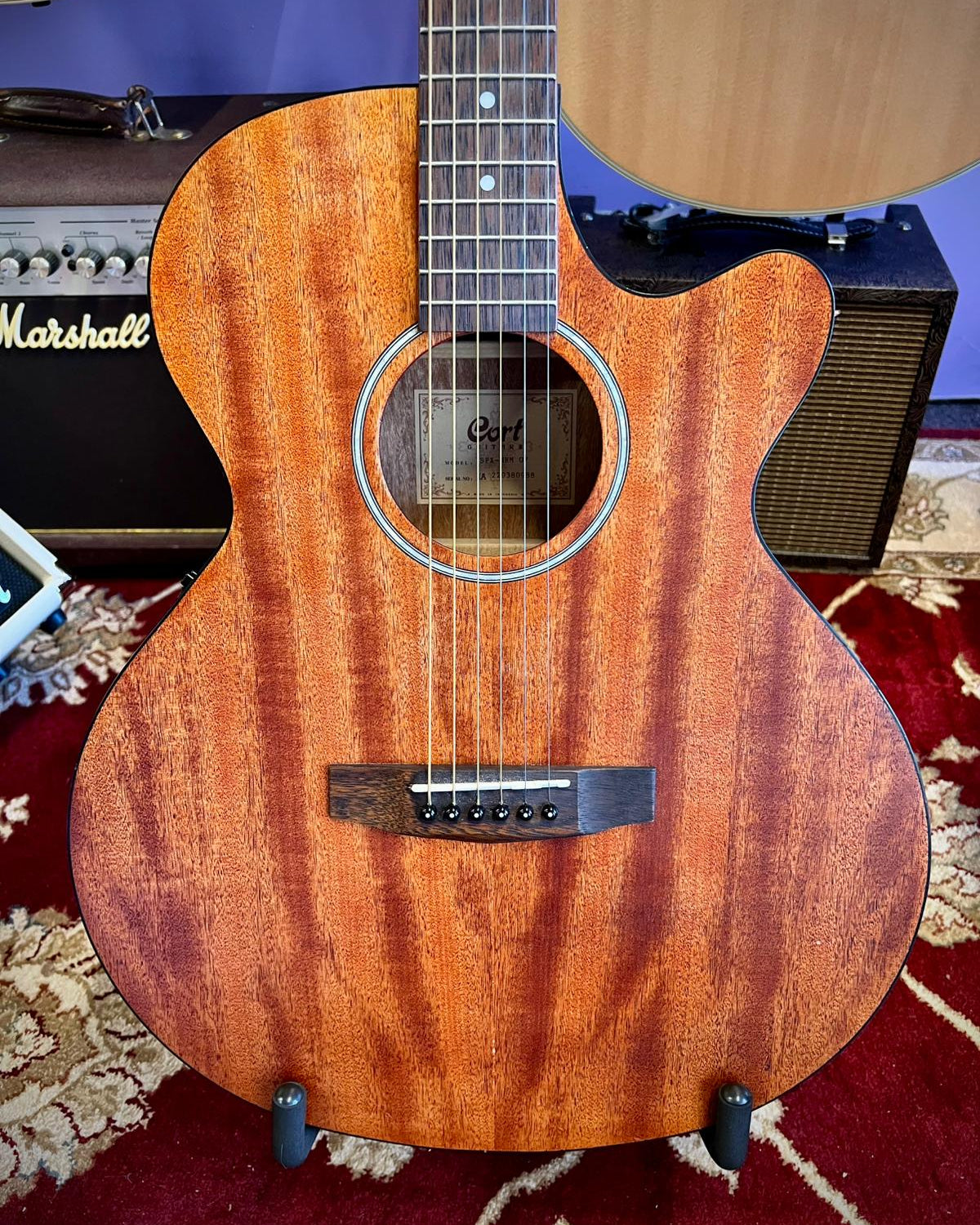 Cort SFX-MEM Open Pore