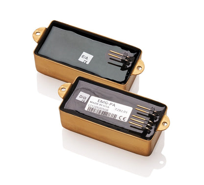 EMG Les Claypool LC Set - Brushed Gold
