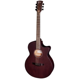 Faith Naked Venus Mahogany inc Gigbag
