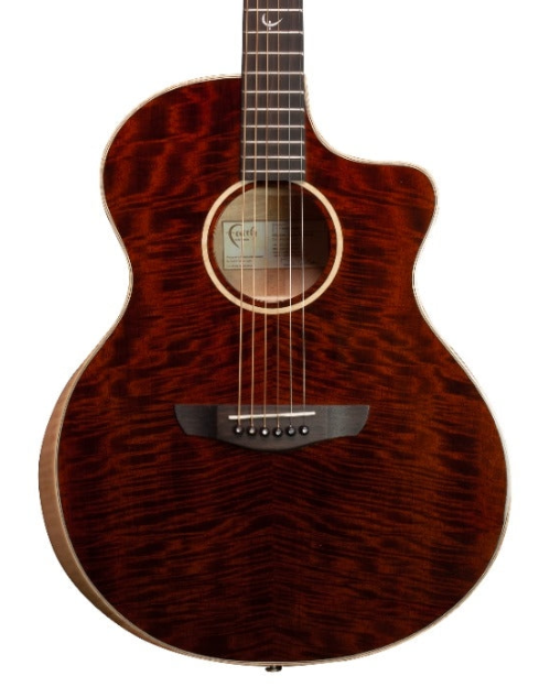 Faith Neptune FX Dark Natural Gold Cutaway Electro