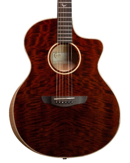 Faith Neptune FX Dark Natural Gold Cutaway Electro