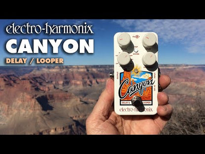 EHX Canyon Delay & Looper