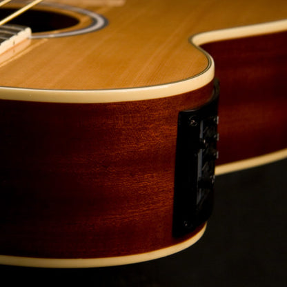 Washburn AB5 Acoustic Bass - Natural