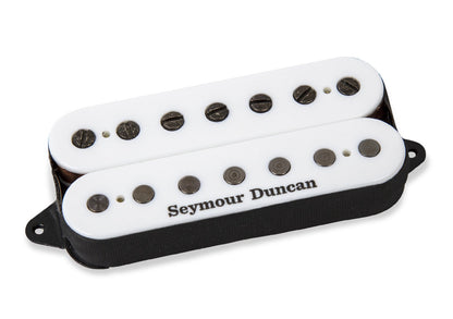 Seymour Duncan Loomis Noumenon
